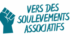 logo VSA bleu