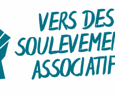 logo VSA bleu